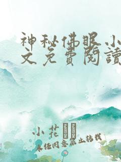 神秘佛眼小说全文免费阅读