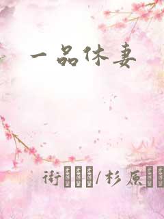 一品休妻