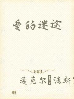 爱的迷途