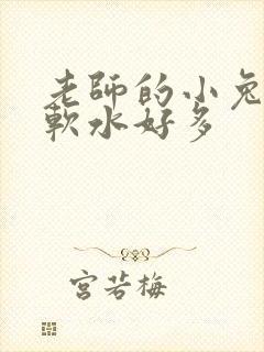 老师的小兔子好软水好多