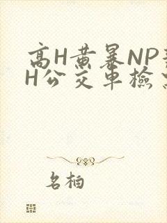 高H黄暴NP辣H公交车检票员