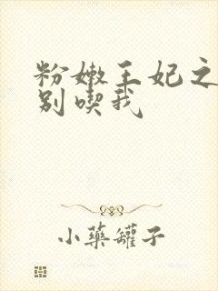 粉嫩王妃之殿下别吃我