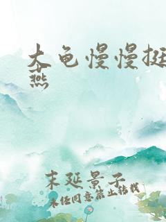 大龟慢慢挺进张燕