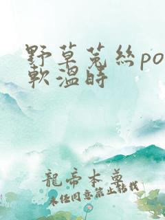 野草菟丝po温软温时