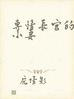 专情长官的天价小妻