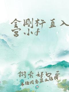 金刚杵直入莲花宫小f