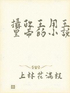 摄政王用玉髓整皇帝的小说