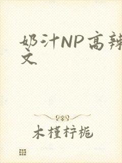 奶汁NP高辣H文