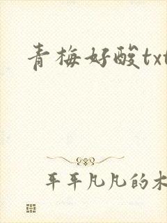 青梅好酸txt