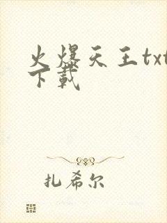 火爆天王txt下载