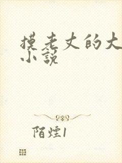 摸老丈的大牛子小说