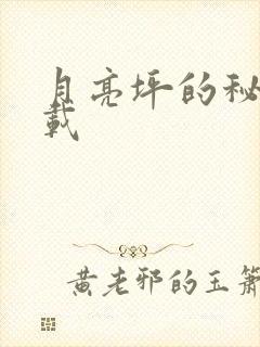 月亮坪的秘密下载