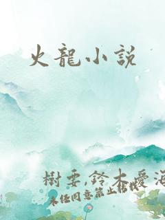 火龙小说