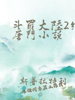 斗罗大陆2绝世唐门小说