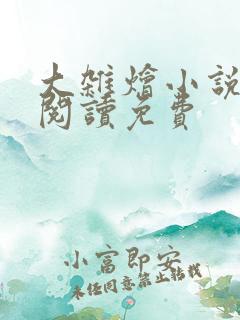 大杂烩小说全集阅读免费