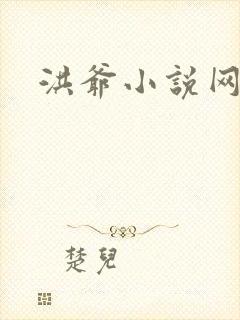 洪爷小说网
