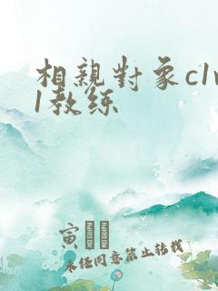 相亲对象c1v1教练