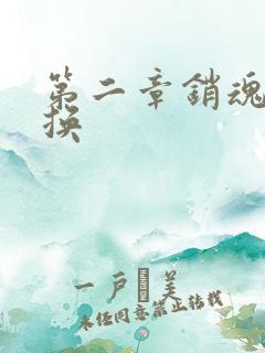 第二章销魂的交换