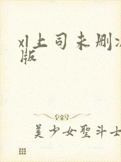 xl上司未删减版