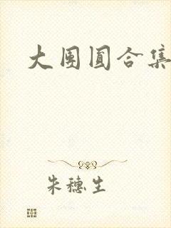 大团圆合集