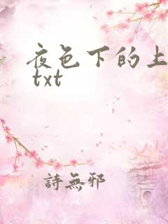 夜色下的上海滩 txt