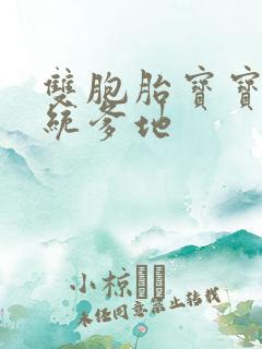 双胞胎宝宝的总统爹地