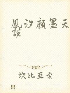 凤汐颜墨天问小说