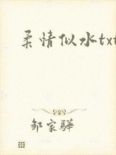 柔情似水txt