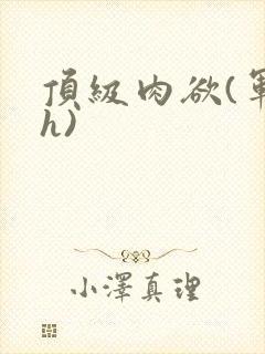 顶级肉欲(军高h)