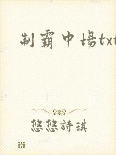 制霸中场txt