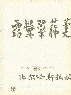 两腿间花蒂被吸的异常肿大