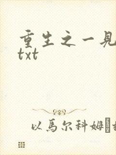 重生之一见倾心txt
