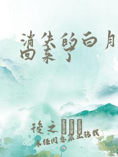 消失的白月光又回来了