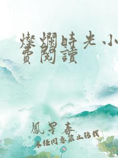 灿烂时光小说免费阅读