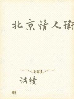 北京情人卫慧