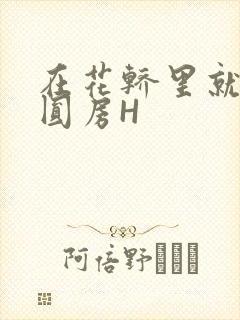 在花轿里就开始圆房H