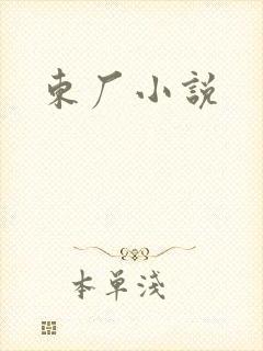 东厂小说