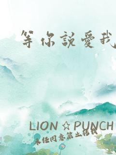 等你说爱我小说