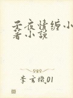 子夜情缠小说原著小说
