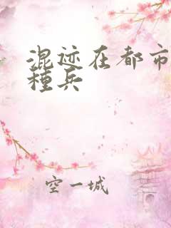 混迹在都市的特种兵