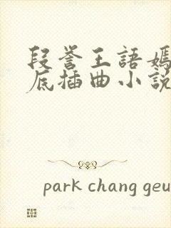 段誉王语嫣在井底插曲小说