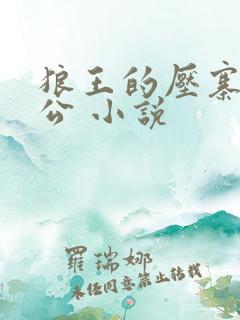 狼王的压寨小相公 小说