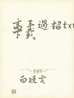 高手过招txt下载