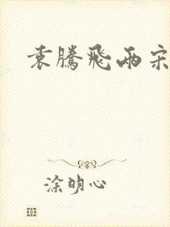 袁腾飞两宋风云