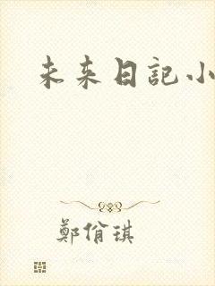 未来日记小说