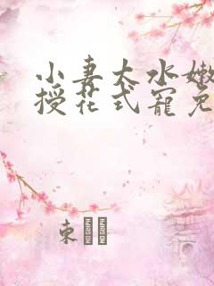 小妻太水嫩陆教授花式宠免费阅读 小说