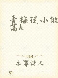 青梅从小做到大高h
