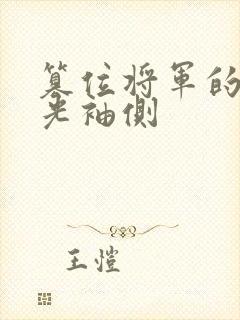 篡位将军的白月光袖侧