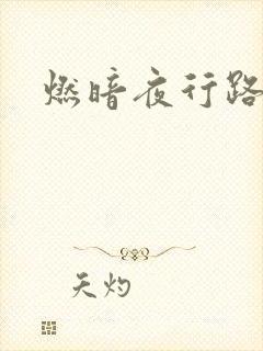 燃暗夜行路
