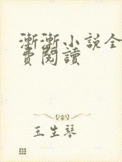 渐渐小说全文免费阅读